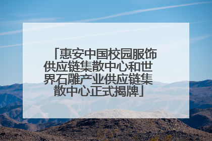 惠安中国校园服饰供应链集散中心和世界石雕产业供应链集散中心正式揭牌