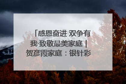 感恩奋进 双争有我·致敬最美家庭｜贺彦霞家庭：银针彩线绣出好日子