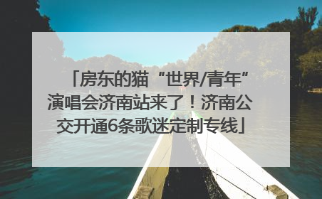 房东的猫“世界/青年”演唱会济南站来了！济南公交开通6条歌迷定制专线