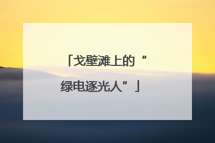 戈壁滩上的“绿电逐光人”