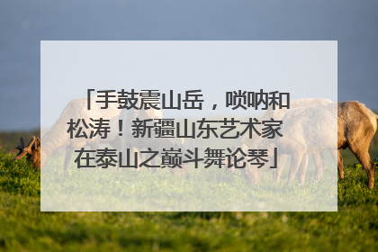 手鼓震山岳，唢呐和松涛！新疆山东艺术家在泰山之巅斗舞论琴