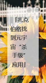 扎克伯格找到元宇宙“杀手级”应用