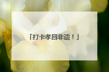 打卡孝昌非遗！