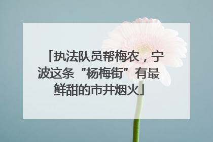 执法队员帮梅农，宁波这条“杨梅街”有最鲜甜的市井烟火