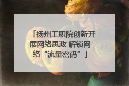 扬州工职院创新开展网络思政 解锁网络“流量密码”