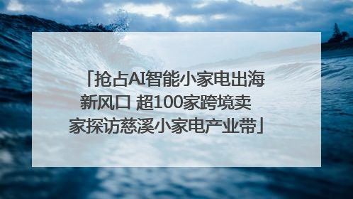抢占AI智能小家电出海新风口 超100家跨境卖家探访慈溪小家电产业带