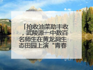 抢收油菜助丰收，武陵源一中数百名师生在黄龙洞生态田园上演“青春助农记”