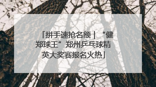 拼手速抢名额｜“健郑球王”郑州乒乓球精英大奖赛报名火热