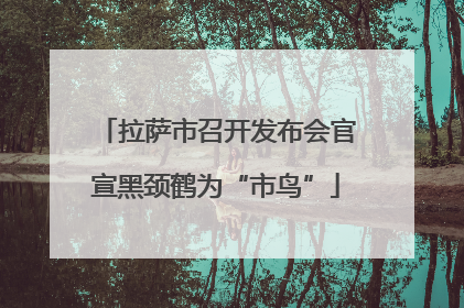 拉萨市召开发布会官宣黑颈鹤为“市鸟”