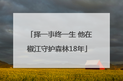 择一事终一生 他在椒江守护森林18年