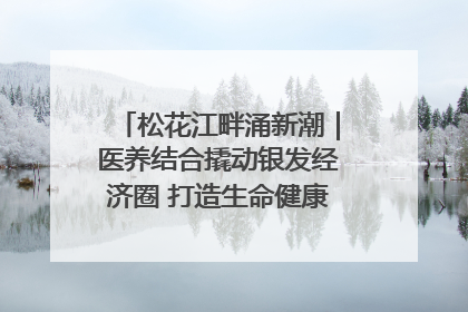 松花江畔涌新潮｜医养结合撬动银发经济圈 打造生命健康产业新样本