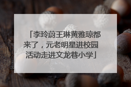 李玲蔚王琳黄雅琼都来了，元老明星进校园活动走进文龙巷小学