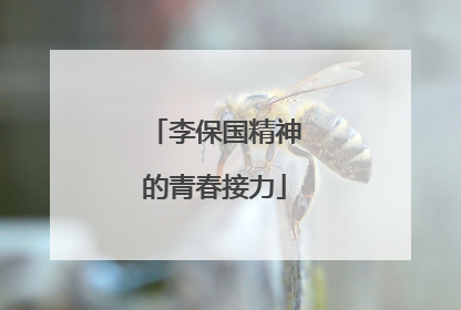 李保国精神的青春接力