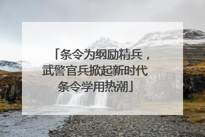 条令为纲励精兵，武警官兵掀起新时代条令学用热潮
