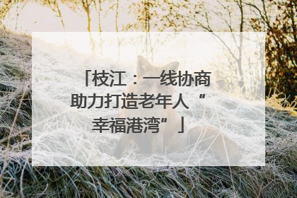 枝江：一线协商助力打造老年人“幸福港湾”