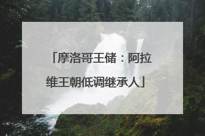 摩洛哥王储：阿拉维王朝低调继承人