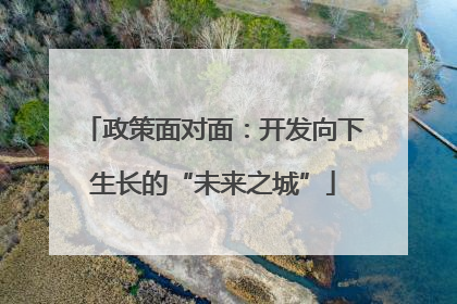 政策面对面：开发向下生长的“未来之城”