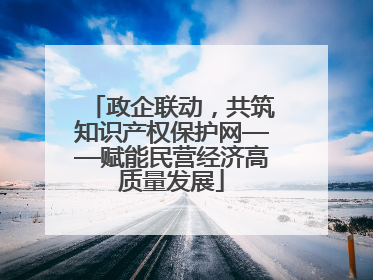 政企联动，共筑知识产权保护网——赋能民营经济高质量发展