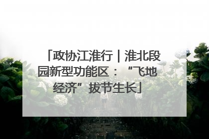 政协江淮行｜淮北段园新型功能区：“飞地经济”拔节生长