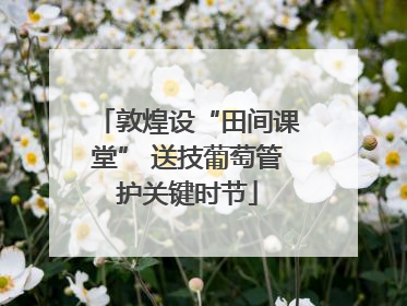 敦煌设“田间课堂” 送技葡萄管护关键时节