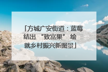 方城广安街道：蓝莓结出 “致富果” 绘就乡村振兴新图景