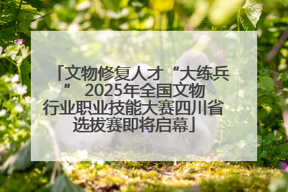 文物修复人才“大练兵” 2025年全国文物行业职业技能大赛四川省选拔赛即将启幕