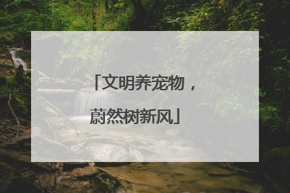 文明养宠物,蔚然树新风