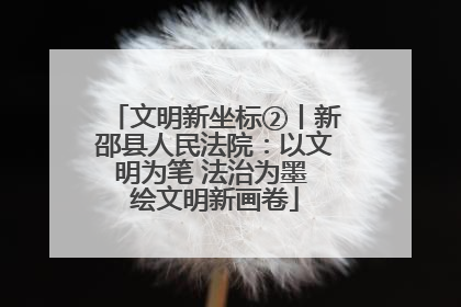 文明新坐标②丨新邵县人民法院：以文明为笔 法治为墨 绘文明新画卷