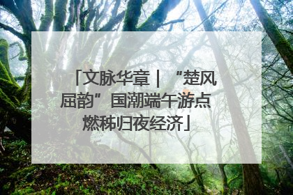 文脉华章｜“楚风屈韵”国潮端午游点燃秭归夜经济