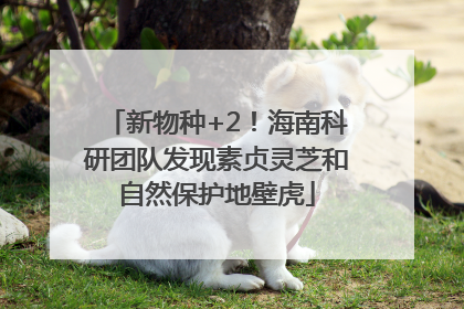 新物种+2！海南科研团队发现素贞灵芝和自然保护地壁虎
