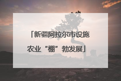 新疆阿拉尔市设施农业“棚”勃发展