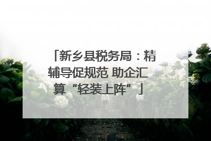 新乡县税务局：精辅导促规范 助企汇算“轻装上阵”