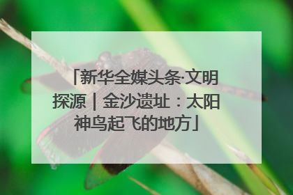 新华全媒头条·文明探源｜金沙遗址：太阳神鸟起飞的地方