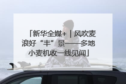 新华全媒+｜风吹麦浪好“丰”景——多地小麦机收一线见闻