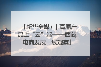 新华全媒+｜高原产品上“云”端——西藏电商发展一线观察