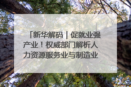 新华解码｜促就业强产业！权威部门解析人力资源服务业与制造业融合发展试点
