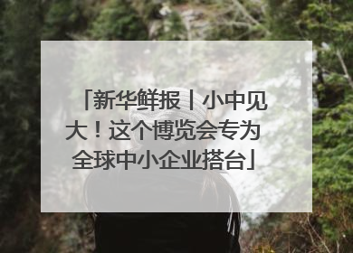 新华鲜报丨小中见大！这个博览会专为全球中小企业搭台