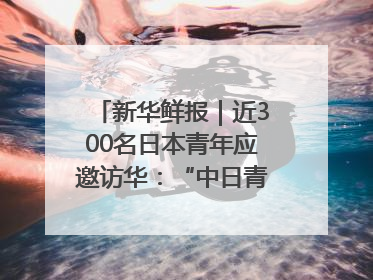 新华鲜报｜近300名日本青年应邀访华：“中日青年可以创造更好的未来”