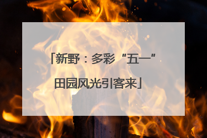 新野：多彩“五一” 田园风光引客来