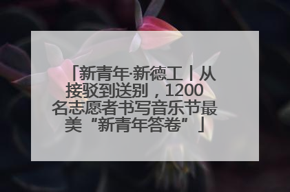 新青年·新德工丨从接驳到送别，1200名志愿者书写音乐节最美“新青年答卷”