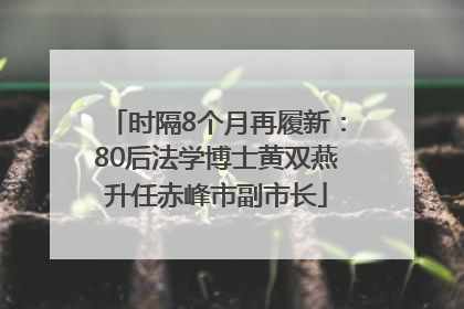 时隔8个月再履新：80后法学博士黄双燕升任赤峰市副市长