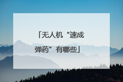 无人机“速成弹药”有哪些