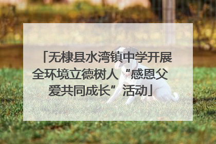 无棣县水湾镇中学开展全环境立德树人“感恩父爱共同成长”活动
