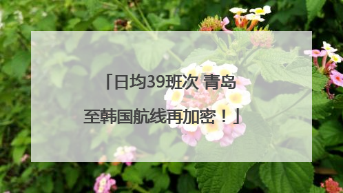日均39班次 青岛至韩国航线再加密！
