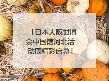 日本大阪世博会中国馆河北活动周精彩启幕