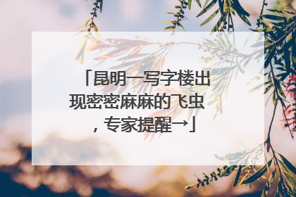 昆明一写字楼出现密密麻麻的飞虫，专家提醒→