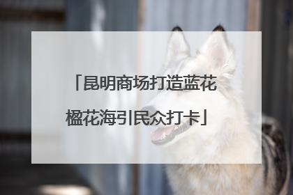 昆明商场打造蓝花楹花海引民众打卡