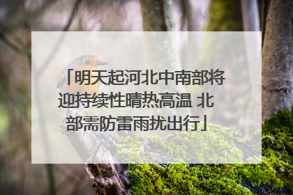 明天起河北中南部将迎持续性晴热高温 北部需防雷雨扰出行