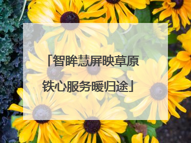 智眸慧屏映草原 铁心服务暖归途