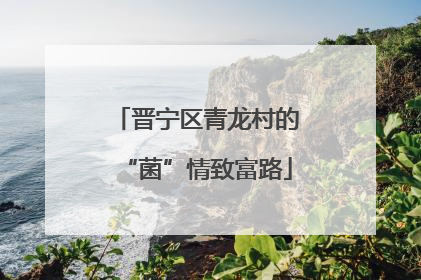 晋宁区青龙村的“菌”情致富路